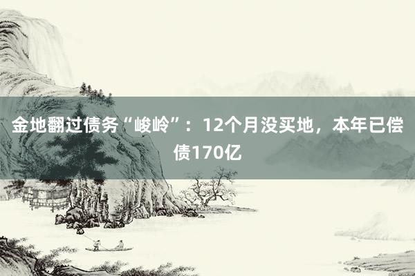 金地翻过债务“峻岭”：12个月没买地，本年已偿债170亿