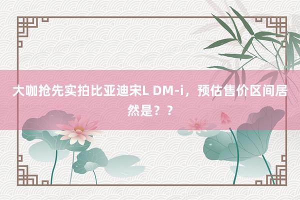 大咖抢先实拍比亚迪宋L DM-i，预估售价区间居然是？？