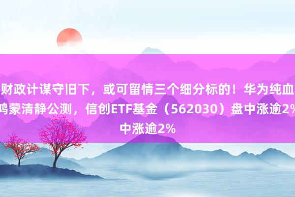 财政计谋守旧下，或可留情三个细分标的！华为纯血鸿蒙清静公测，信创ETF基金（562030）盘中涨逾2%