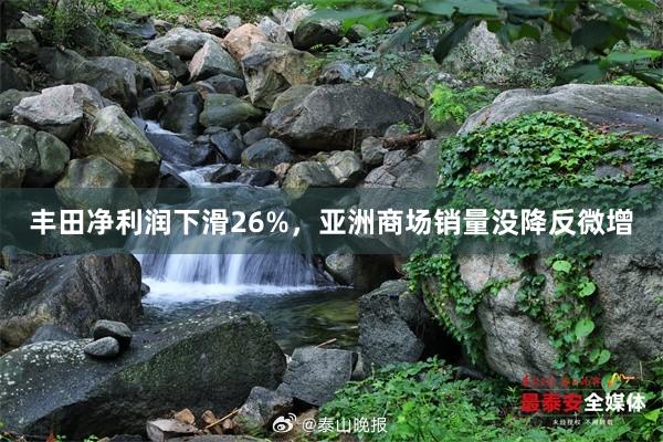 丰田净利润下滑26%，亚洲商场销量没降反微增