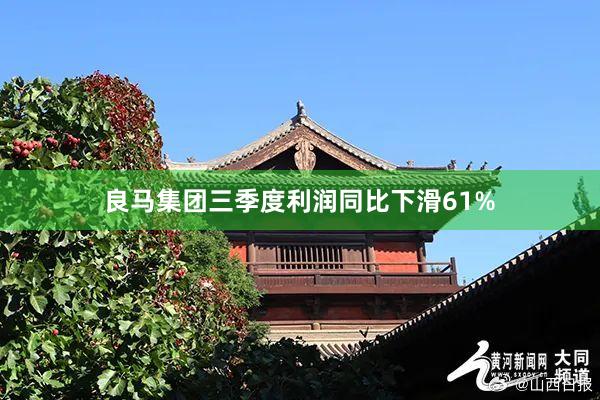 良马集团三季度利润同比下滑61%