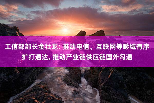 工信部部长金壮龙: 推动电信、互联网等畛域有序扩打通达, 推动产业链供应链国外勾通